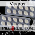Viagras 07